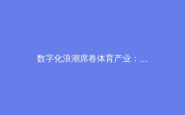 数字化浪潮席卷体育产业：从智慧场馆到沉浸式观赛的革命性变革 - 3